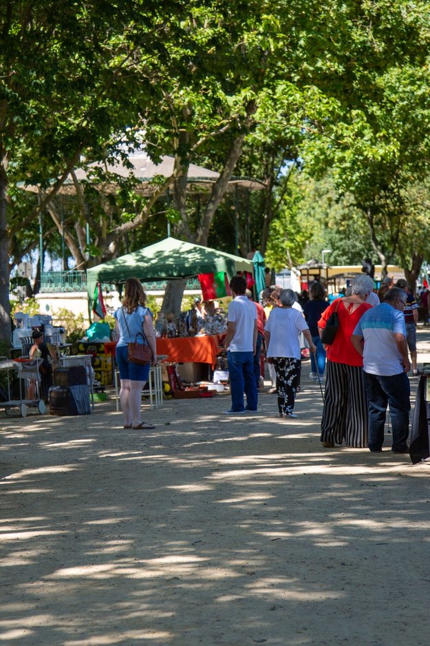 feira_velharias___jardim_constantino_palha_7_07_24_hd_2867
