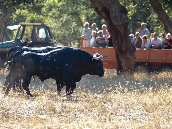 colete_encarnado_visita_campo__toiros_esperas
